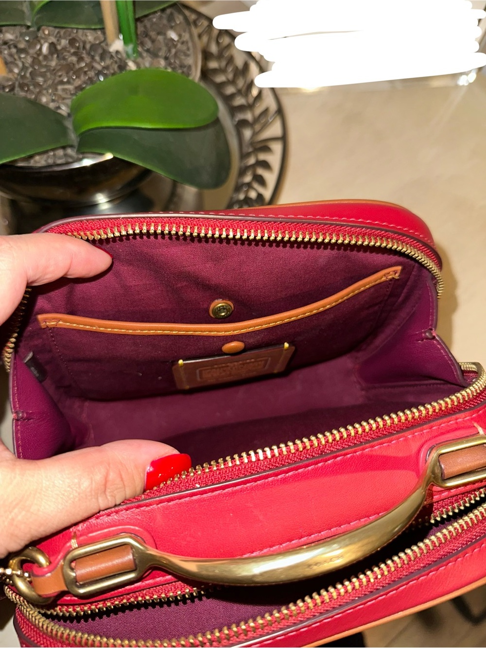 🌺 Coach Riley Lunchbox - Red/Signature - Picture 5 of 6